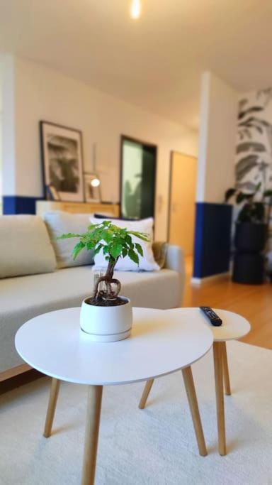 Rooftop In Kehl Bei Strasbourg Екстериор снимка